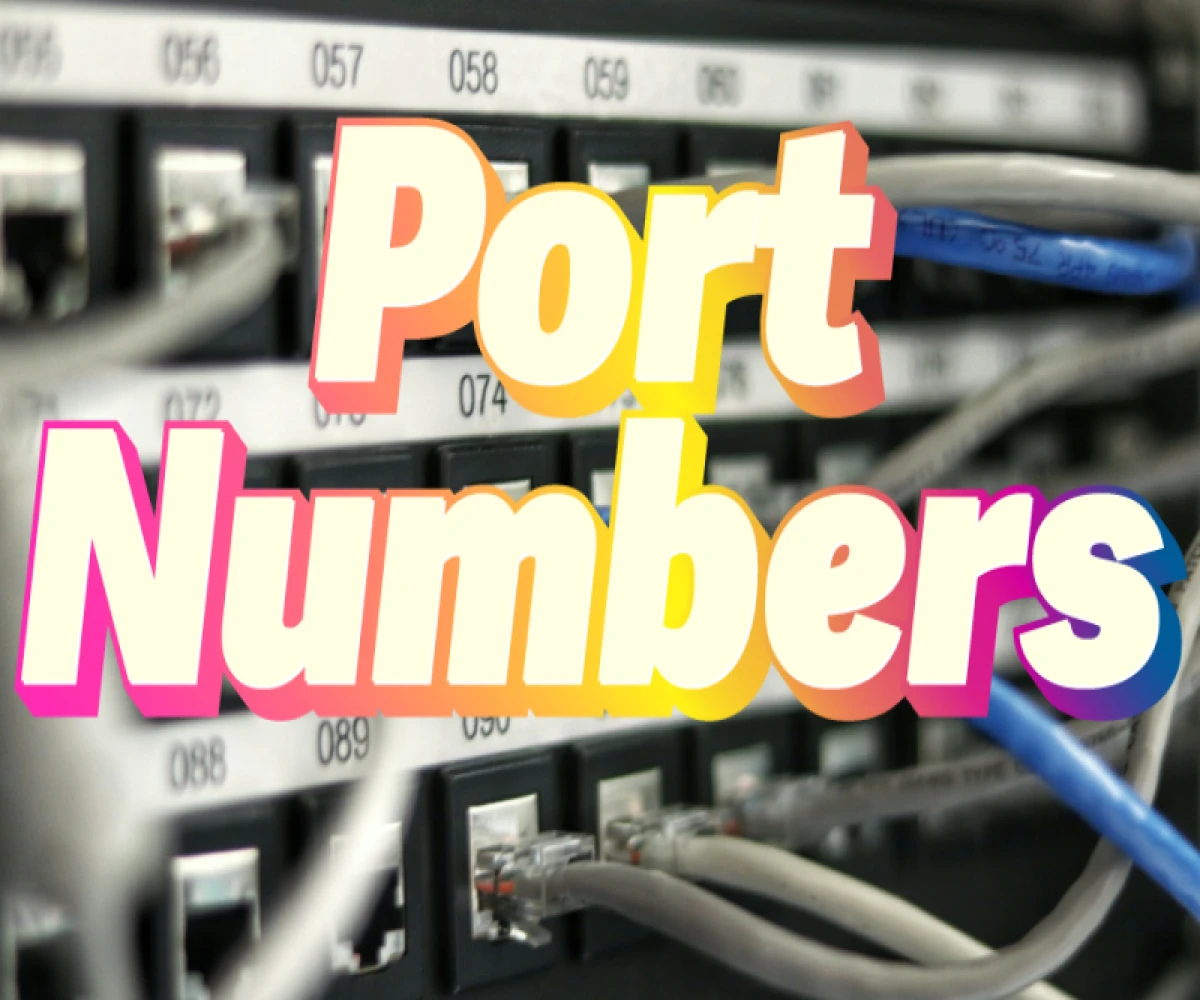 Le monde caché d'Internet : découvrez le secret des numéros de port